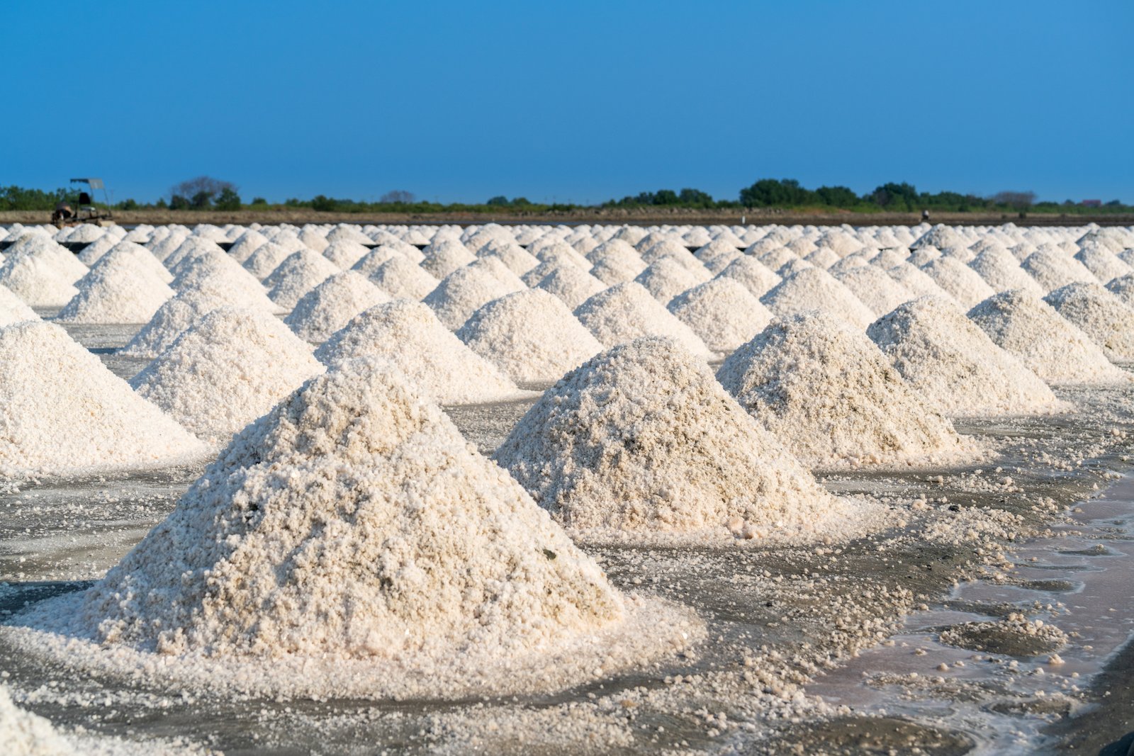 Tuticorin Crystal Sea Salt